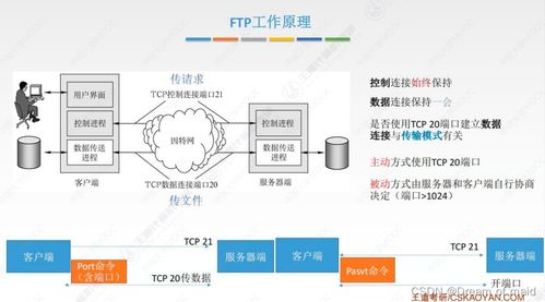 计算机网络第六章 应用层 上